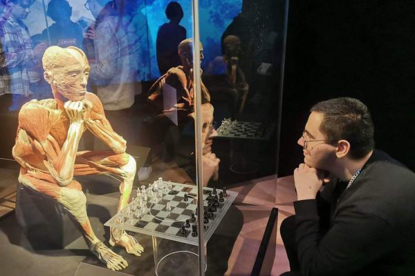 Wystawa Body - kliknięcie spowoduje powiększenie zdjęcia Wystawa Body