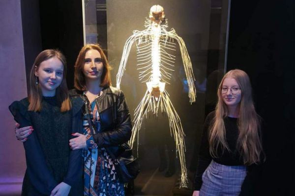 Wystawa Body - kliknięcie spowoduje powiększenie zdjęcia Wystawa Body
