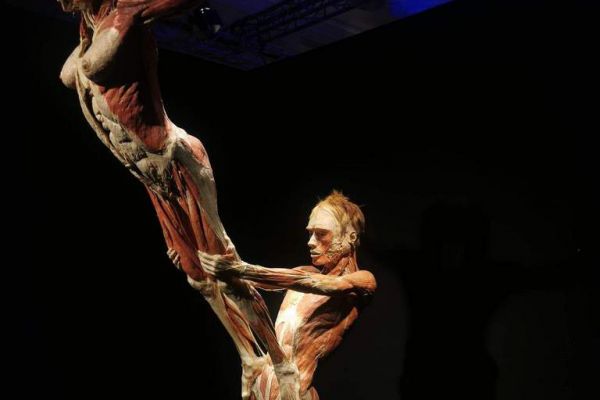Wystawa Body - kliknięcie spowoduje powiększenie zdjęcia Wystawa Body