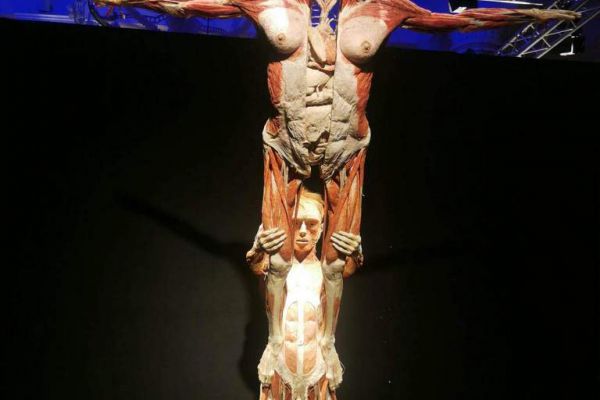 Wystawa Body - kliknięcie spowoduje powiększenie zdjęcia Wystawa Body