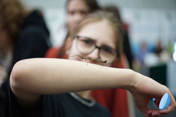 Targi Edukacyjne - kliknięcie spowoduje powiększenie zdjęcia  Targi Edukacyjne