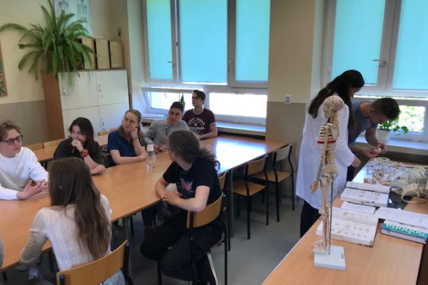 Zapoznanie się z budową układu kostnego człowieka