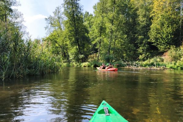 Wycieczka klas 3a i 3b Wycieczka klas 3a i 3b - kliknięcie spowoduje powiększenie zdjęcia