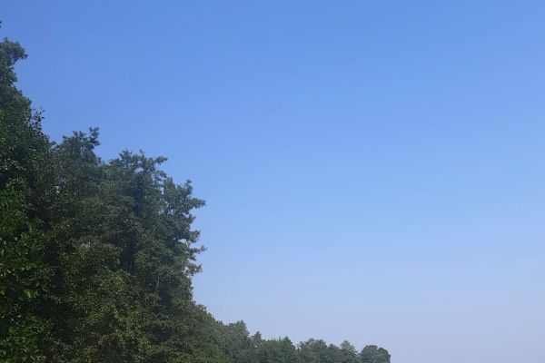 Wycieczka klas 3a i 3b Wycieczka klas 3a i 3b - kliknięcie spowoduje powiększenie zdjęcia