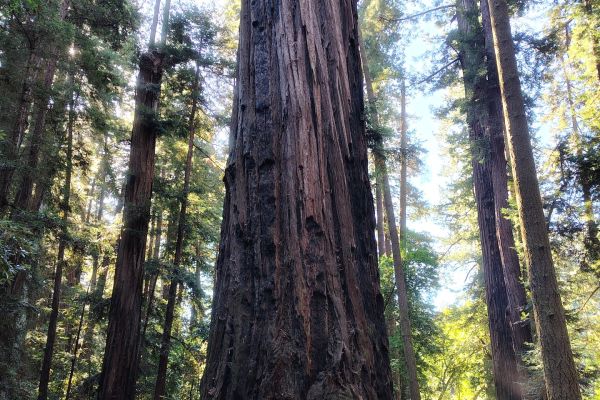 Queen Hedvig Scholarship 2024 Queen Hedvig Scholarship 2024 - kliknięcie spowoduje powiększenie zdjęcia