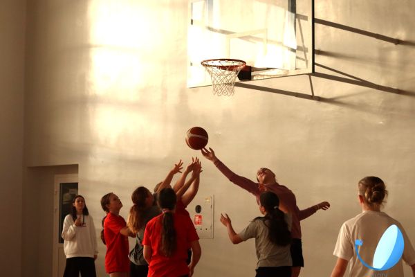 Kosz24 Kosz24 - kliknięcie spowoduje powiększenie zdjęcia