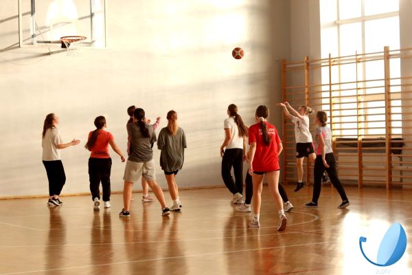 Kosz24 Kosz24 - kliknięcie spowoduje powiększenie zdjęcia