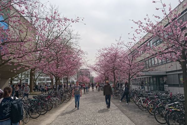 Getynga studenci na placu przed uczelnią