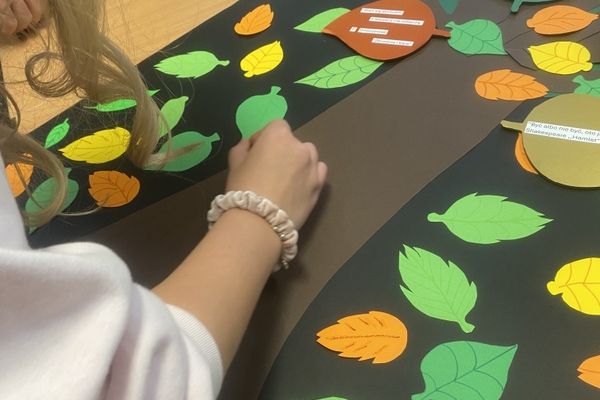 NPRCZ 2024 - Kl.3B-kliknięcie spowoduje powiększenie zdjęcia NPRCZ 2024 - Kl.3B