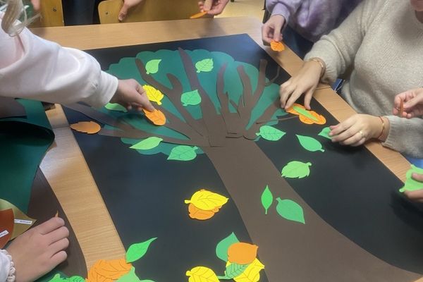 NPRCZ 2024 - Kl.3B -kliknięcie spowoduje powiększenie zdjęcia NPRCZ 2024 - Kl.3B