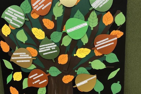 NPRCZ 2024 - Kl.3B -kliknięcie spowoduje powiększenie zdjęcia NPRCZ 2024 - Kl.3B