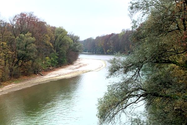 Lipski24 - kliknięcie spowoduje powiększenie zdjęcia