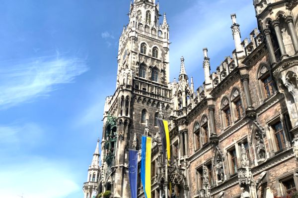 Lipski24 - kliknięcie spowoduje powiększenie zdjęcia