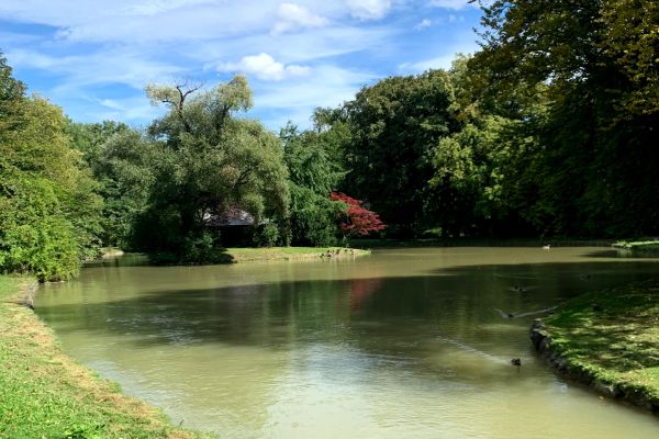 Lipski24 - kliknięcie spowoduje powiększenie zdjęcia