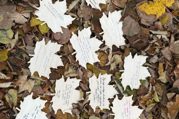 NPRCZ 2024 - Kl.3F - kliknięcie spowoduje powiększenie zdjęcia NPRCZ 2024 - Kl.3F