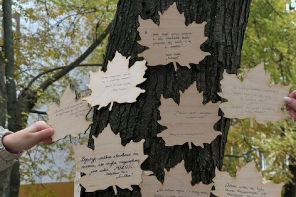 NPRCZ 2024 - Kl.3F  -kliknięcie spowoduje powiększenie zdjęcia NPRCZ 2024 - Kl.3F