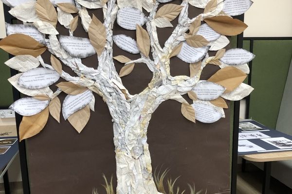 NPRCZ 2024 - Kl.3E -kliknięcie spowoduje powiększenie zdjęcia NPRCZ 2024 - Kl.3E