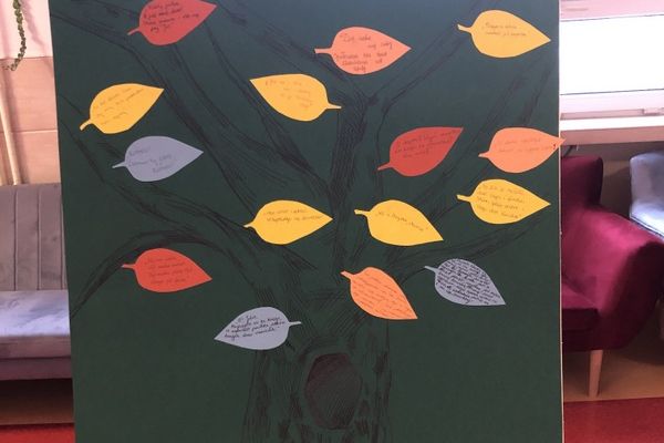 NPRCZ 2024 - Kl.3D -kliknięcie spowoduje powiększenie zdjęcia NPRCZ 2024 - Kl.3D