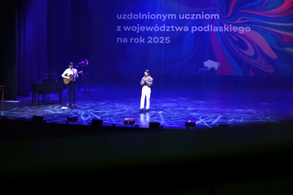 Stypendia artystyczne 2025