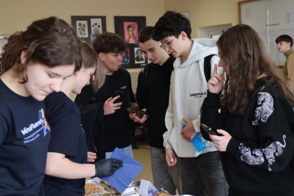 Kiermasz MindFluence