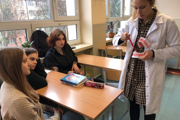 Uzębienie człowieka, prezentacja na makiecie